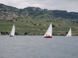 36e Coupe d&#039;Avant et d&#039;Argent 2009